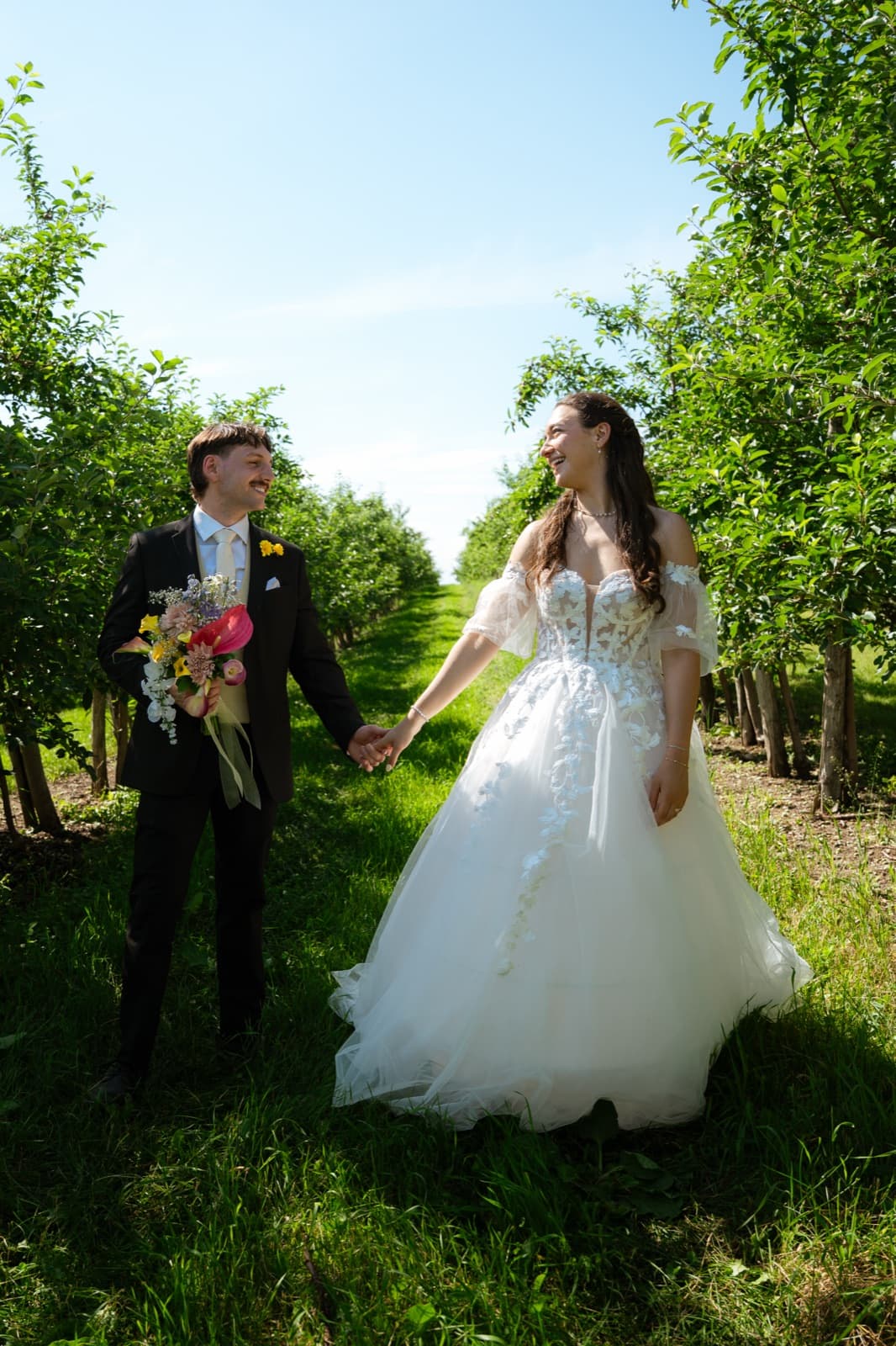 Newlyweds hand in hand between the apple orchard rows